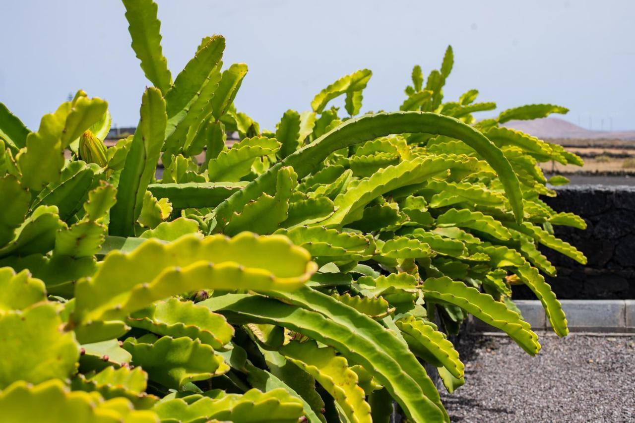 Hotel Eslanzarote Eco Dome Experience Teguise  Exteriér fotografie