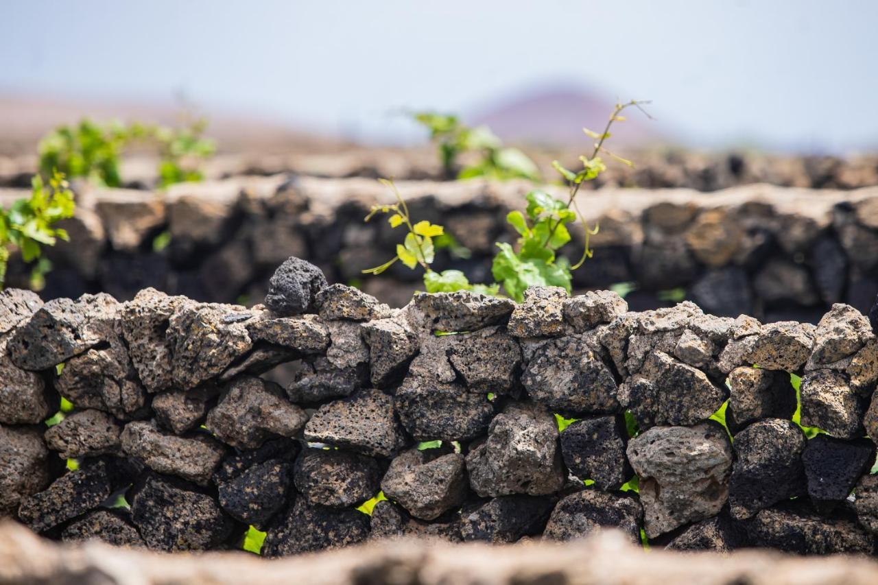 Hotel Eslanzarote Eco Dome Experience Teguise  Exteriér fotografie